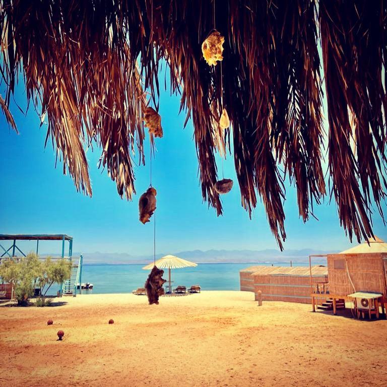 Отель Half Moon Camp Таба Экстерьер фото