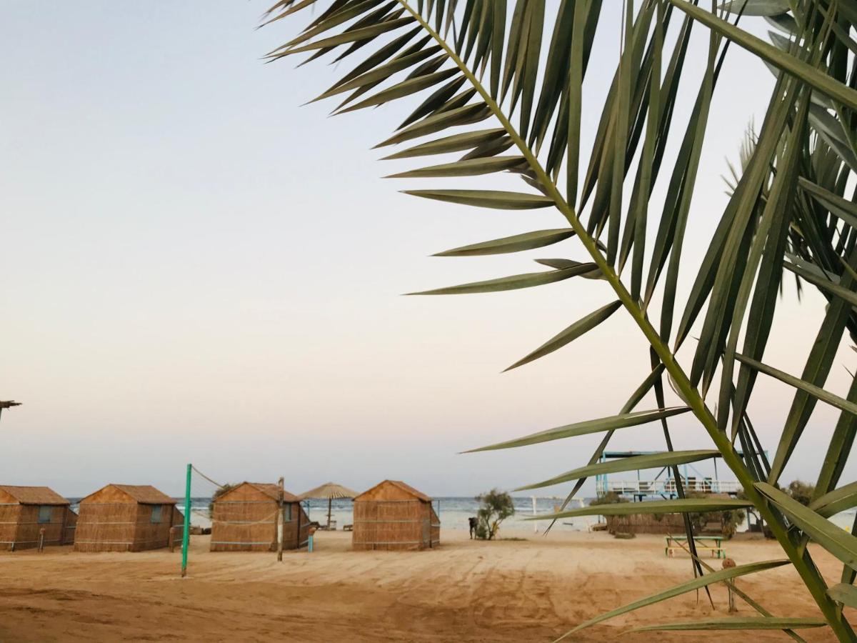 Отель Half Moon Camp Таба Экстерьер фото